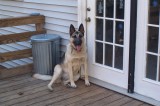 DCP_0006 * 1800 x 1200 * (423KB)